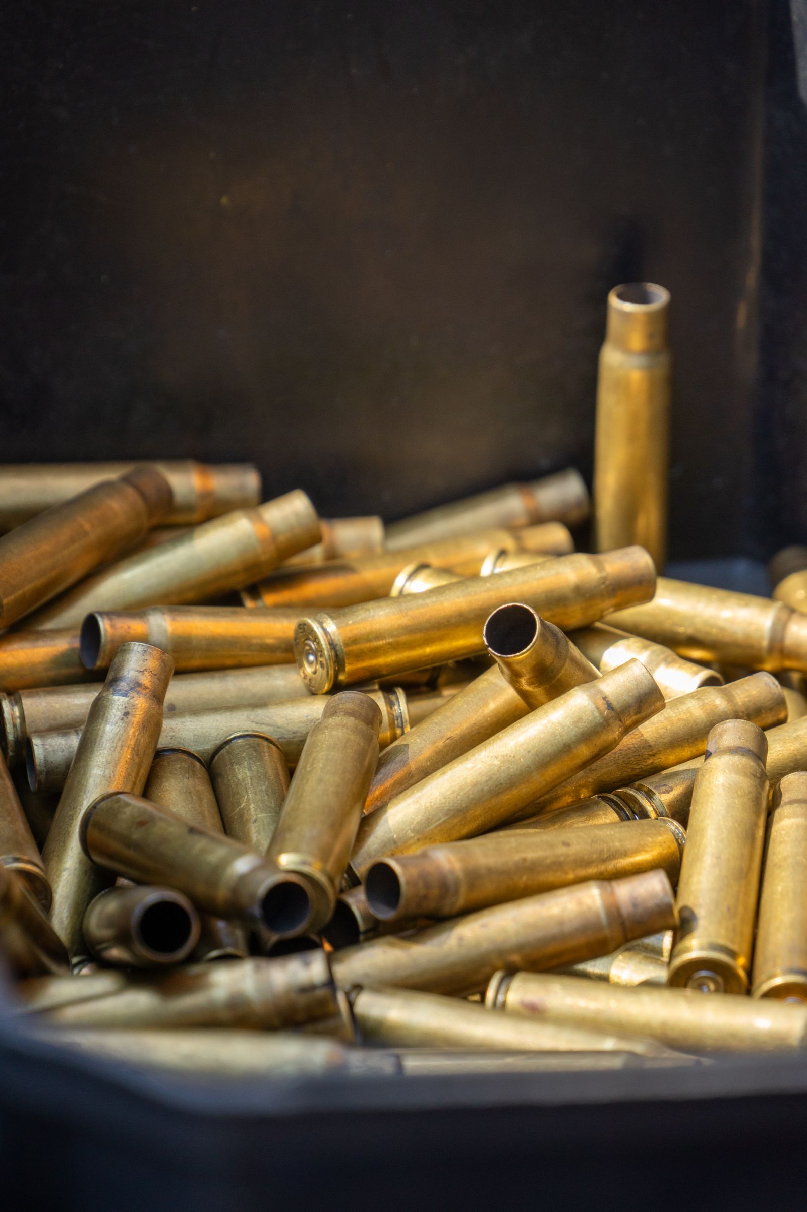 Ammunition shelves in a store