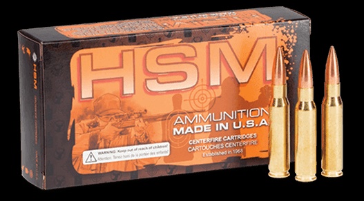 HSM 218 BEE AMMO 35GR V-MAX BRASS CASED 50RD BOX — product photograph